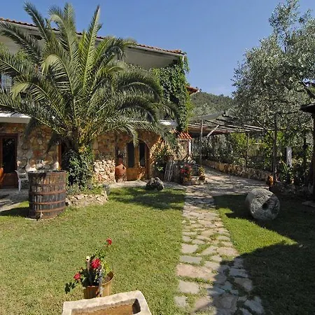 Apartment Antoniadis Studios