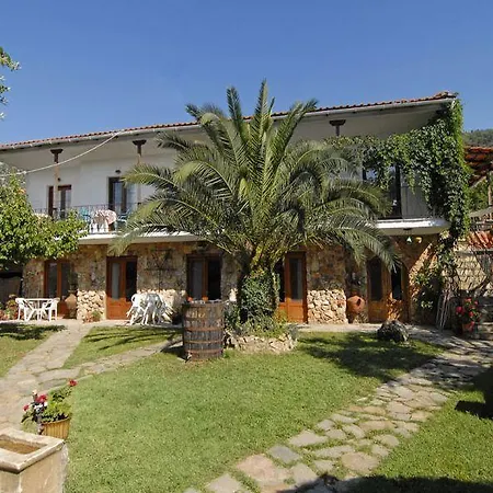 Antoniadis Studios